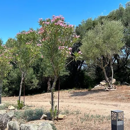 Hébergement de vacances La Piana House Bassacutena