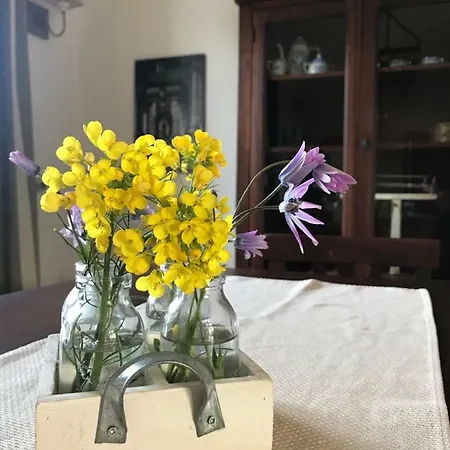 La Piana House Hébergement de vacances Bassacutena