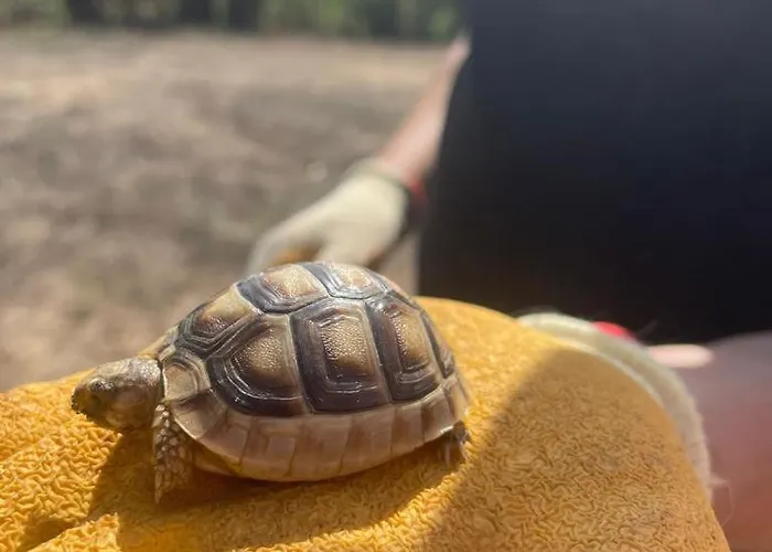 別荘 La Piana House *