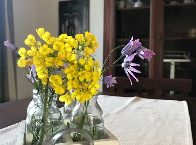 La Piana House 度假居 Bassacutena
