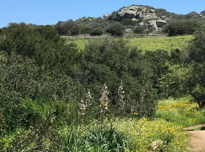 La Piana House 別荘 *