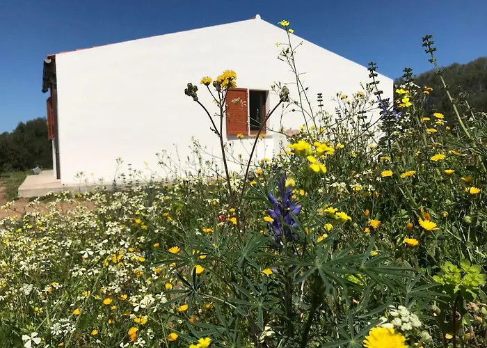 La Piana House 別荘 Bassacutena