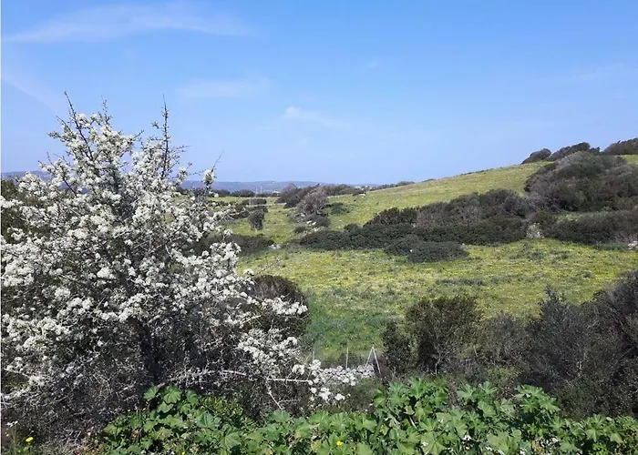 別荘 La Piana House Bassacutena